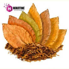 7 Leaf Tobacco Blend Nixotine (Flavored Nixodine) About Nixotine – Flavored Nixodine®     Browse Nixotine® Flavors 🔎︎   Replacement Coils   Vaporizors   Batteries