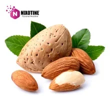 Almond Nixotine (Flavored Nixodine) About Nixotine – Flavored Nixodine®     Browse Nixotine® Flavors 🔎︎   Replacement Coils   Vaporizors   Batteries