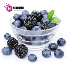 Black and Blue Berry Nixotine (Flavored Nixodine) About Nixotine – Flavored Nixodine®     Browse Nixotine® Flavors 🔎︎   Replacement Coils   Vaporizors   Batteries
