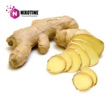 Ginger Nixotine (Flavored Nixodine) About Nixotine – Flavored Nixodine®     Browse Nixotine® Flavors 🔎︎   Replacement Coils   Vaporizors   Batteries