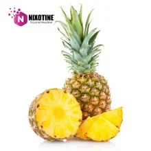 Pineapple Nixotine (Flavored Nixodine) About Nixotine – Flavored Nixodine®     Browse Nixotine® Flavors 🔎︎   Replacement Coils   Vaporizors   Batteries