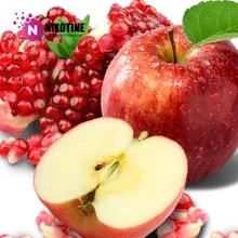 Pomegranate Apple Nixotine (Flavored Nixodine) About Nixotine – Flavored Nixodine®     Browse Nixotine® Flavors 🔎︎   Replacement Coils   Vaporizors   Batteries