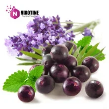 Purple Haze Nixotine (Flavored Nixodine) About Nixotine – Flavored Nixodine®     Browse Nixotine® Flavors 🔎︎   Replacement Coils   Vaporizors   Batteries
