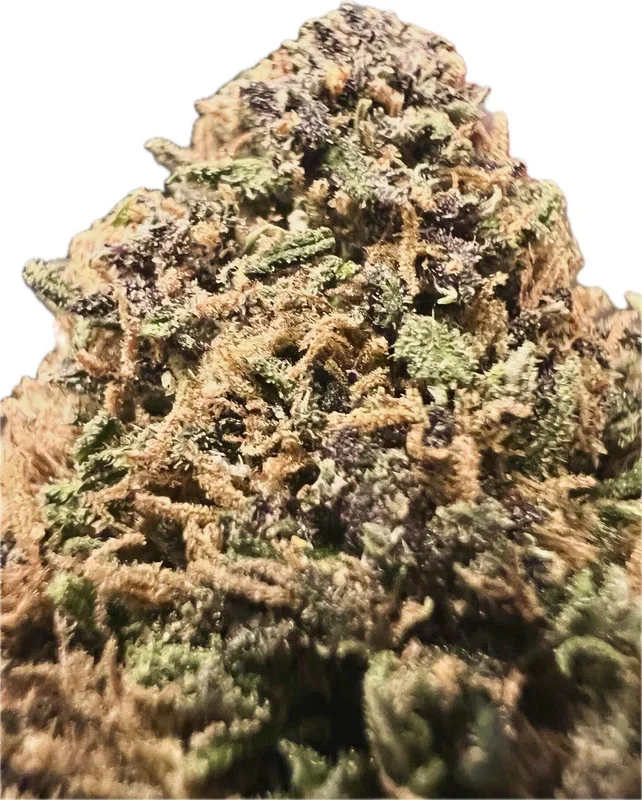 Ripkitty Premium – Pink Panther – CBD Flower