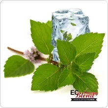 Spearmint (E-Liquid TFE) Tobacco-Free · Nicotine Free(E-Liquid TFE products are not tobacco products) Tobacco-Free · Nicotine Free(E-Liquid TFE products are not tobacco products) 🔎︎   Replacement Coils   Vaporizors   Batteries