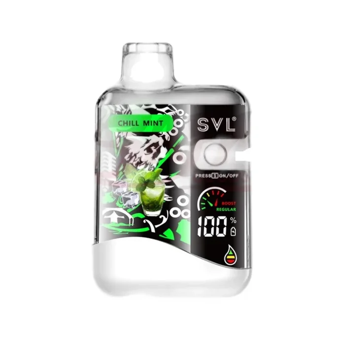 SVL BX12000 Chill Mint Disposable Vape for Refreshing Experience