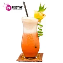 Tropical Punch Nixotine (Flavored Nixodine) About Nixotine – Flavored Nixodine®     Browse Nixotine® Flavors 🔎︎   Replacement Coils   Vaporizors   Batteries